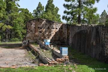 De ruta por el macizo de Tamadaba/Antonio Ali.